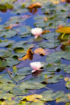 个性化设置体验